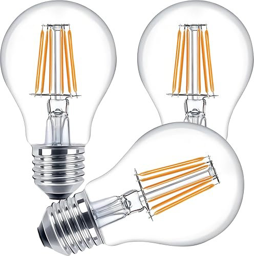 Vanpus 6W A60 E27 LED Glühbirnen AC/DC 12-24V Edison Schraube LED Glühfaden Glühbirne Warm Weiß 3000K Vintage Glühbirne Äquivalent 60W Halogen 360 Grad für RV Camper Marine Yacht Lorry (3 Stück)