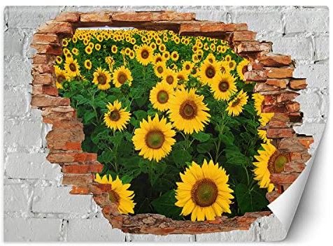 Feeby Fototapete 3D Natur abstrakt Loch in der Wand 400x280 cm Gelb Vlies Wandtapete Tapeten Wohnzimmer Schlafzimmer Büro Flur Moderne Design Wandbilder Wand Dekoration Sonnenblumen Blätter Wiese