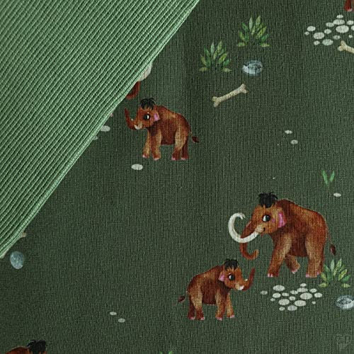 Stoffpaket 0,5 x 1,5 m Motiv-Jersey und 0,5 x 0,7 m Bündchen uni Nähpaket f. Kinderkleidung, Motiv:Mammut | blassgrün