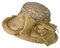Weißer Fascinator für Hochzeiten, schwarzer Fascinator für kurzes Haar, roter Fascinator, Blassrosa, Fascinator, Kirchenhut für Rennen, Ascot, gold, Einheitsgröße