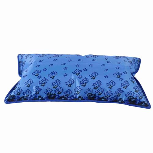 shenruifa Oreiller de Glace épaissi, Oreiller Frais, Coussin d'eau de Voyage à Domicile, Coussin de Refroidissement (55 * 35CM)