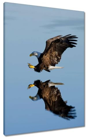 Gemälde gedruckt auf Leinwand Wandkunst Dekor 50x70cm Jagd Adler Nr. H6443Z_PC1H