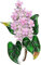 1 broche en émail lilas fleur clou de girofle 4 couleurs, 5,3 x 3,3 cm, Métal Zinc Fer, Amazonite