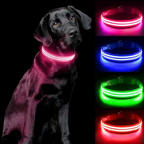 PcEoTllar Leuchthalsband Hund Aufladbar, LED Hundehalsband Leuchtend mit 3 Leuchtmodi, Leuchtendes Hundehalsband Verstellbares Wasserdicht für Kleine Mittlere Große Hunde, Rosa-S