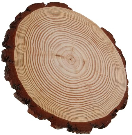 Sewroro 12-inch round Wood Garden Stepping Stone, 27-30cm Diameter Natural Wood Patio Paver for Outdoor Walkway, Single Piece Decorative Steppingstone for Yard Landscaping