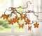 8 Dekohänger Schmetterling & Blume aus Metall in Rost Optik, Fensterdeko, Deko-Anhänger