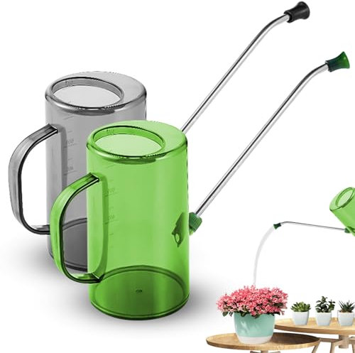 Confezione da 2 annaffiatoio lungo in acciaio inox, per piante da interno, annaffiatoio da interni, 1 litro per piante esterne, giardinaggio, piante sospese, piante grasse, fiori, verde e grigio