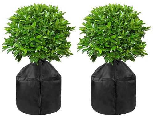 2PCS Pflanzen Winterschutz Topf, 65*70cm Pflanzen Frostschutzhülle, Winter Pflanzen Frostschutz, Pflanzenhülle Mit Kordelzug Und Reißverschluss Für Winter Outdoor Obstbäume Topfpflanzen, Schwarz