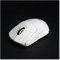 Mouse Anti Slip Grip Tape，Sweat Resistant Lizard Skins Sticker For Logitech G Pro Wireless/G Pro X Superlight Gaming Mouse, Professional Gamer DIY Kit (Color : 2, Size : G Pro X Superlight)
