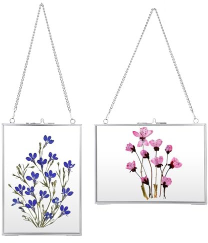 JUXYES Lot de 2 cadres photo en laiton à suspendre au mur, cadre en verre à suspendre, cadre photo pour affiche, etc