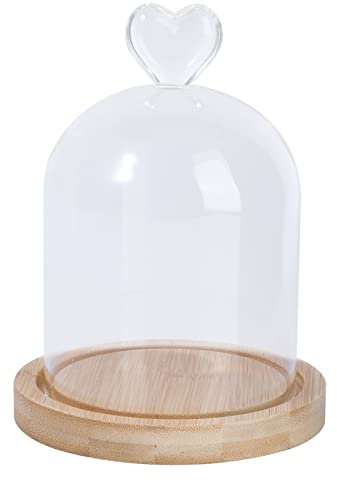 Abaodam Glashaube Mit Unsterblicher Glasglocke Mit Holzboden Vitrine Aus Glas Glasabdeckung Konservierte Cloche-glocke Glaskonservierte Rosenkugel Blumen Bambus Nachtisch Glockenabdeckung