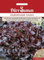 roter Eichblattsalat Navara