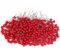 Jangostor 240 Piezas Fruta Roja Navideña Baya roja navideña Artificial Baya de Acebo Artificial para la decoración del hogar del Banquete de Boda de la Guirnalda de la Navidad del árbol de Navidad
