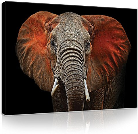Forwall Bilder Canvas Elefant Afrika Tiere Modern Schlafzimmer Wohnzimmer Leinwandbilder Wandbild Kunstdruck Wandbilder Wand Bild auf Leinwand Aufhängefertig (11752, O1 (100 x 75 cm))