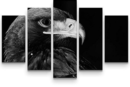 Paul Sinus Art Leinwandbilder | Bilder Leinwand 160x100cm Portrait eines Adlers – schwarz, weiß