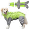 Regenmantel für Hunde,Hunderegenmantel,Wasserdichter Hundemantel mit Kapuze,Leichte Regenjacke Hund Geeignet für Mittlere und Große Hunde den Hundespielplatz und den Urlaub mit Hund -Grün (22)