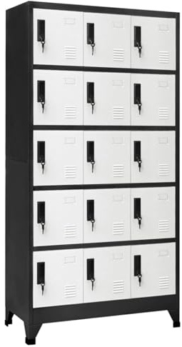 BAZZI Spind Schrank 15 Fächer Metallschrank abschließbar Schließfachschrank Wertfachschrank Aktenschrank Metallspind Putzmittelschrank Stahlschrank-Anthrazit und Weiß-Mit 15 Schließfächern