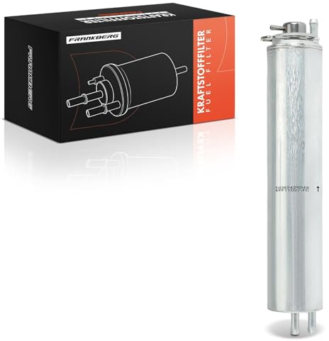 Frankberg Kraftstofffilter Benzinfilter Kompatibel mit 5er E39 X5 E53 7er E38 B10 E39 Replace# 13321706909