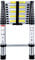 Telescopic Ladder 3.2M Multi-Purpose Folding Aluminium Telescoping Ladder Extendable Portable Loft Ladder Foldable Ladder with EN131 and CE Standard (10.5FT/3.2M)
