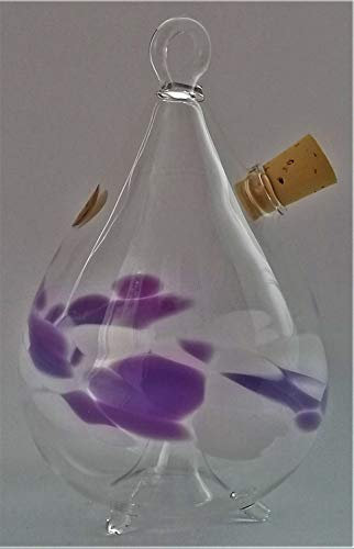 Glasvogelwelt Obstfliegenfalle (transp., lila-weiß) zum Stehen und hängen