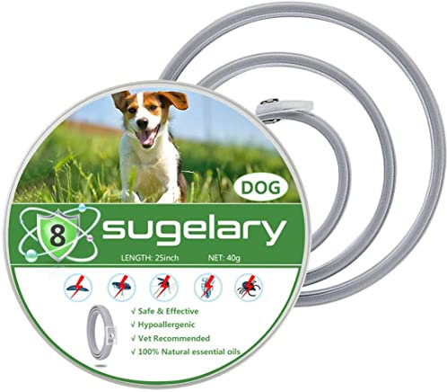 Sugelary Collier Antiparasitaire pour Chiens, Collier Anti-Puces et Anti-Tiques pour Chiens,Tiques Collier Anti-puces et Anti-tiques Ajustable et imperméable 8 Mois Protection Taille Unique (1)