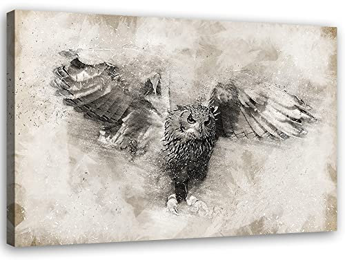Feeby Bild auf Vlies Leinwand Krallen Federn Vogel Fliegende Eule 45x30 cm Kunstdruck Modern Wandbilder Deko Flur Wohnzimmer Jäger der Nacht Raubtier Flügel Braun