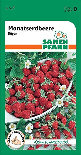 Samen Pfann G529 Monatserdbeere Rügen (Monatserdbeerensamen)