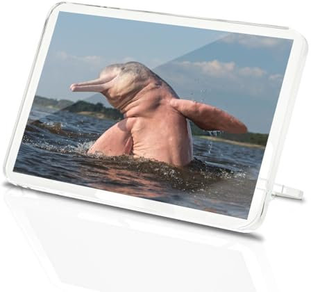 Classic Rectangle Magnet with Stand - Pink Amazon River Dolphin Nature - Fridge Locker Office Whiteboard Toolbox #53141