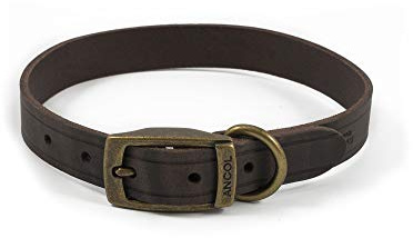 Ancol Latigo Flexible Stretchy Dog Collar Havana Leather Pet Training Accessory with Antique Gold Fixings - Soft and Resilient - Size 3 - 28-36 cm