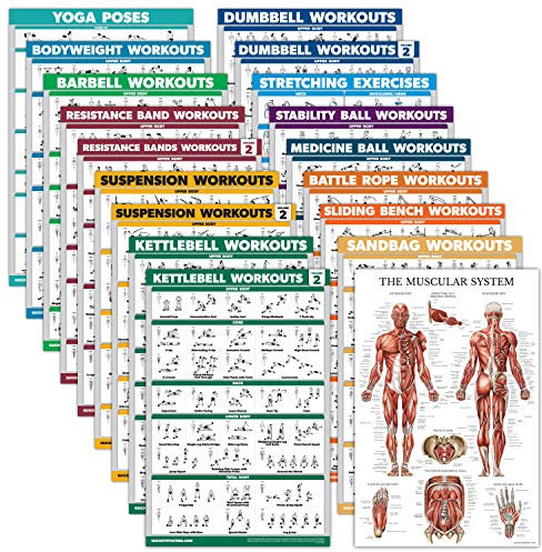 18 Pack - Exercise Poster Set: Dumbbell, Suspension, Kettlebell, Resistance Bands, Stretching, Bodyweight, Barbell, Battle Rope, Yoga, Exercise Ball, Muscular and More (LAMINATED, 18 x 27)
