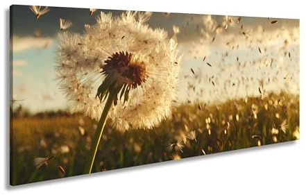Leinwandbild Pusteblume im Flug – flüchtige Träume im Abendlicht. Panorama 100x50cm XXL Kunstdruck Bild auf Keilrahmen/Wandbild/Wohnzimmer Dekoration