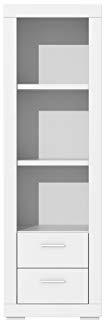 FORTE Snow Regal mit 2 Schubladen, Holzwerkstoff, Weiß Matt, 61 x 198,4 x 41,7 cm