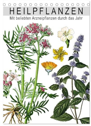 Heilpflanzen (Tischkalender 2026 DIN A5 hoch), CALVENDO Monatskalender: Mit beliebten Arzneipflanzen durch das Jahr (CALVENDO Gesundheit)