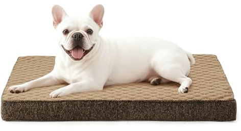 JOEJOY Orthopädisches Hundebett Kleine Hunde, Hundekissen Waschbar Flauschig Hundematte, Hundematratze für Kleine Hunde, rutschfeste Unterseite, 58x44x7.5cm