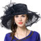 VECRY Femme Église Derby Robe Fascinator Mariée Baptême Fête Chapeau de Mariage (Noir)