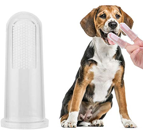 Candeon Soft Finger 10Pcs Soft Finger Zahnbürste Pet Dog Mundzahnreinigung Zahnpflegebürste