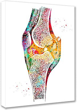 Menschliches Organ Kniegemälde für Wohnzimmer Medizinischer Körper Anatomie Bilder Knieknochenstruktur Wandkunst Zuhause Moderne Dekoration Graffiti Skelett System Kunstwerk Aufhängen Männer Geschenk