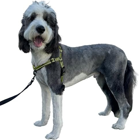 ShawnCo Dream Walk Pro Hundegeschirr, kein Ziehen, bequem, verstellbar, einfach zu bedienen, Haustier-Halfter, um das Ziehen zu stoppen für kleine, mittelgroße und große Hunde (Olivgrün, Größe L)