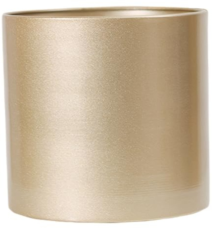 Licsaliwe Fioriera dorata, vaso da fiori in metallo antiruggine impermeabile da 9 pollici, vaso decorativo antiscivolo per piante secche, per interni ed esterni