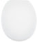 Blue Canyon Contract Thermoplastic Toilet Seat with Non-Slip Seat Bumpers & Heavy-Duty Stainless-Steel Hinges – Soft Close Toilet Seat - Button Quick Release Toilet Seats - Universal Fixings (White)