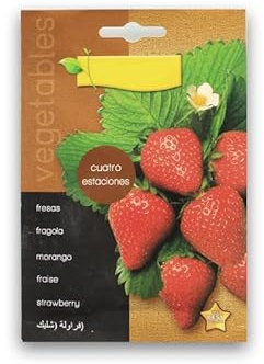 Semillas Naturales de Fresas o Fresones Fragaria Ananassa Fruta Deliciosa