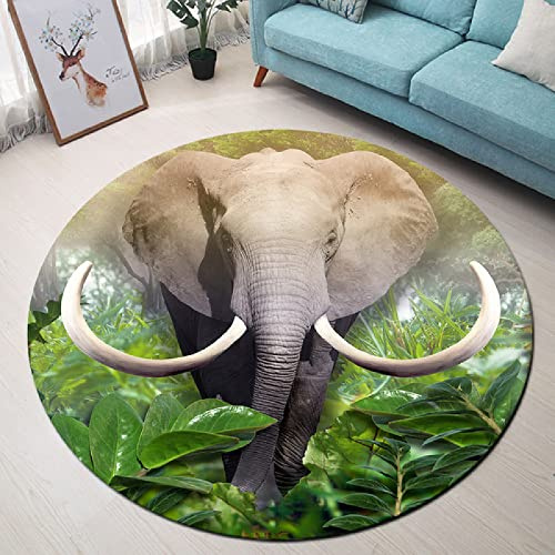 JLDWYKK 3D round carpet green plants animal elephant print bedroom chair cushion bathroom non-slip floor mat abstract floor mat bedside foot mat door mat
