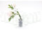 gouveo 12er Set Glasvasen Apo100eckig - Blumenvasen aus Glas - Kleine Deko-Vasen für Zuhause, Hochzeiten, Geburtstage, Feste