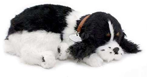 Perfect Petzzz Hundewelpe Cocker Spaniel, der richtig atmet the Breathing Puppy