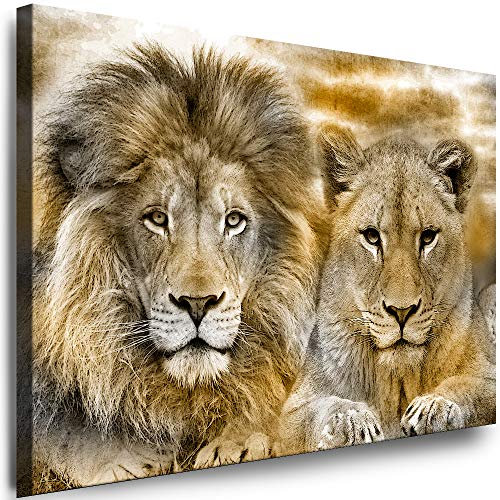 Julia-Art - Leinwandbilder - XXL Leinwand Bild (100 x 70 cm 1 teilig) Wandbilder mit Keilrahmen - Kunstdrucke Weisse Löwen Albino Tiere Raubtiere Afrika Tierwelt N-c-8-a-19