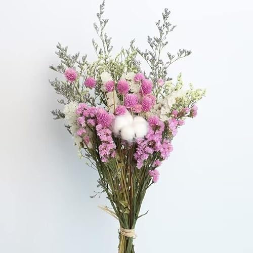 Zalati Mini Bouquet de Fleurs Séchées Naturelles en Relief - Rose, Coton, Eucalyptus, Marguerite - Tiges de Plantes pour la Décoration