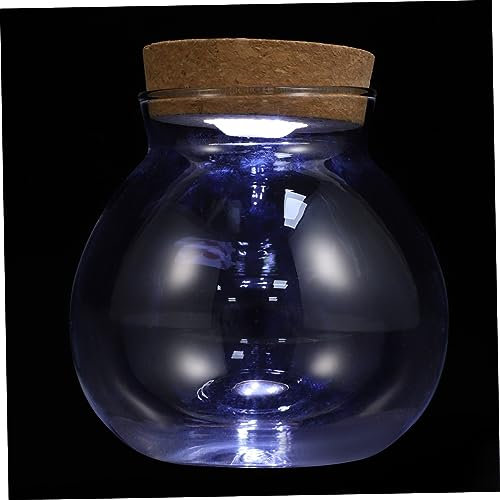 FONDOTIN DIY Mikro Landschaft Flasche Vase Mit Led Licht Dekorative Flasche Für Zuhause Aquarium Design
