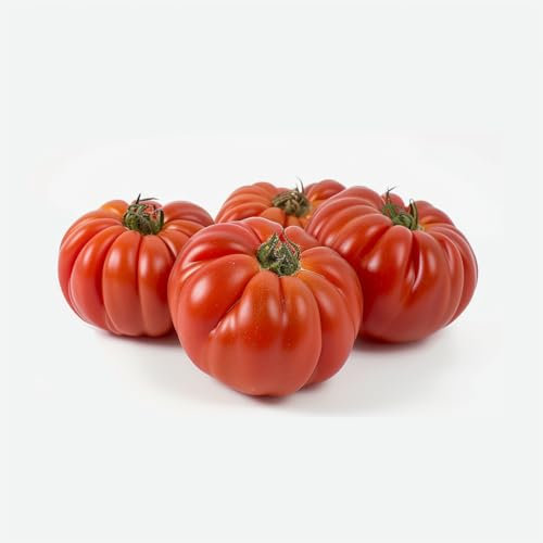 30 Tomatensamen Marmande. SemiSauvage Permaculture