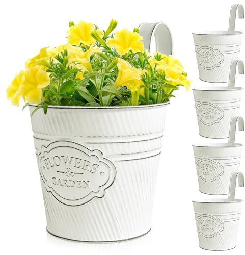BOOMTOP 5pz Vasi Pensili Metallo da Appendere con Gancio Vintage Portafiori Vasi di Fiori da Appendere Fioriera Sospesa Metallo Decorazione Interna Esterna Giardino Balcone Casa Bianco