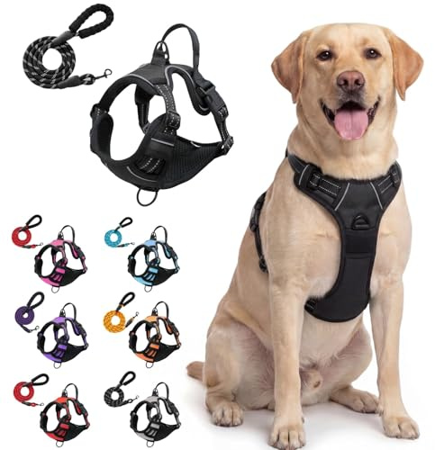 𝐅𝐄𝐋𝐋𝐒𝐓𝐄𝐑𝐍 Anti-Zieh-Geschirr Mit Hundeleine, No-Pull Brustgeschirr für Hunde Atmungsaktiv & Bequem, Verstellbares Sicherheitsgeschirr Gepolstert für Training und Wandern